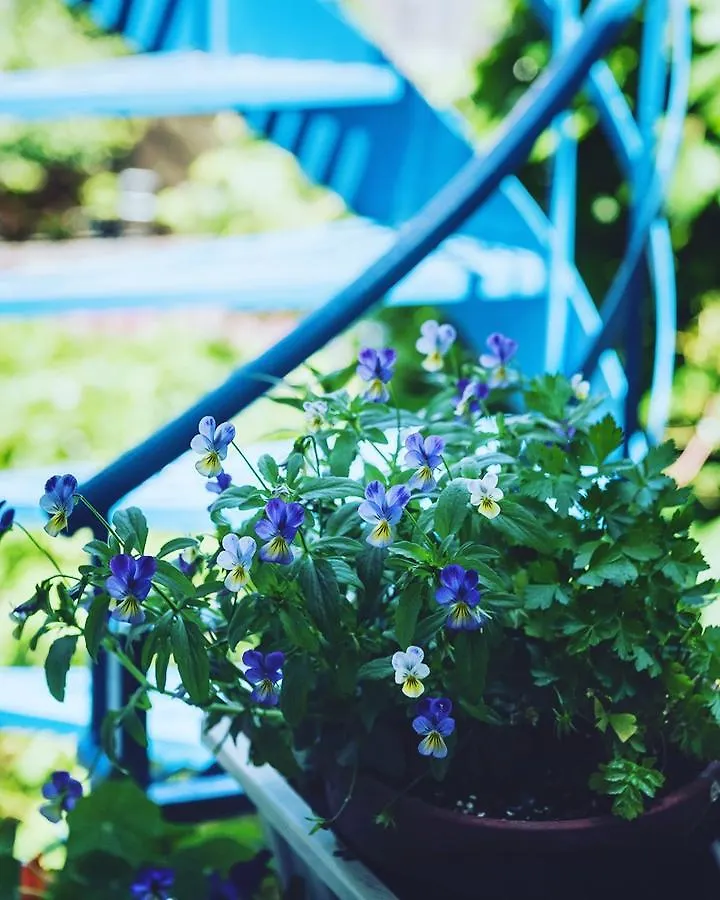 A L'Adresse Du Centre-Ville Bed & Breakfast Montreal
